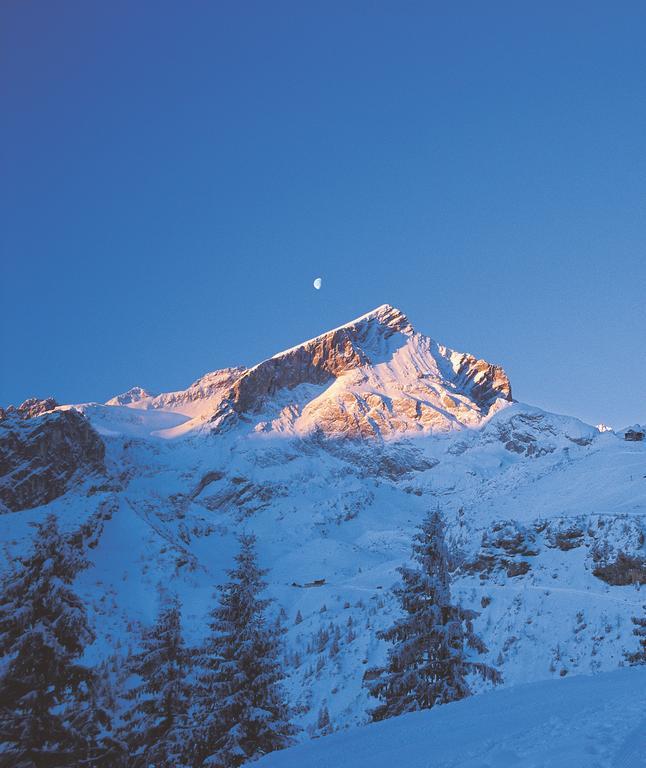 Ferienwohnungen Zugspitze Grainau Ngoại thất bức ảnh